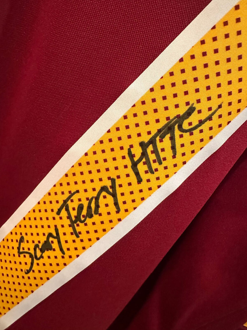 Terry McLaurin Signed “Scary Terry / HTTC” Commanders Nike Jersey XL Fanatics