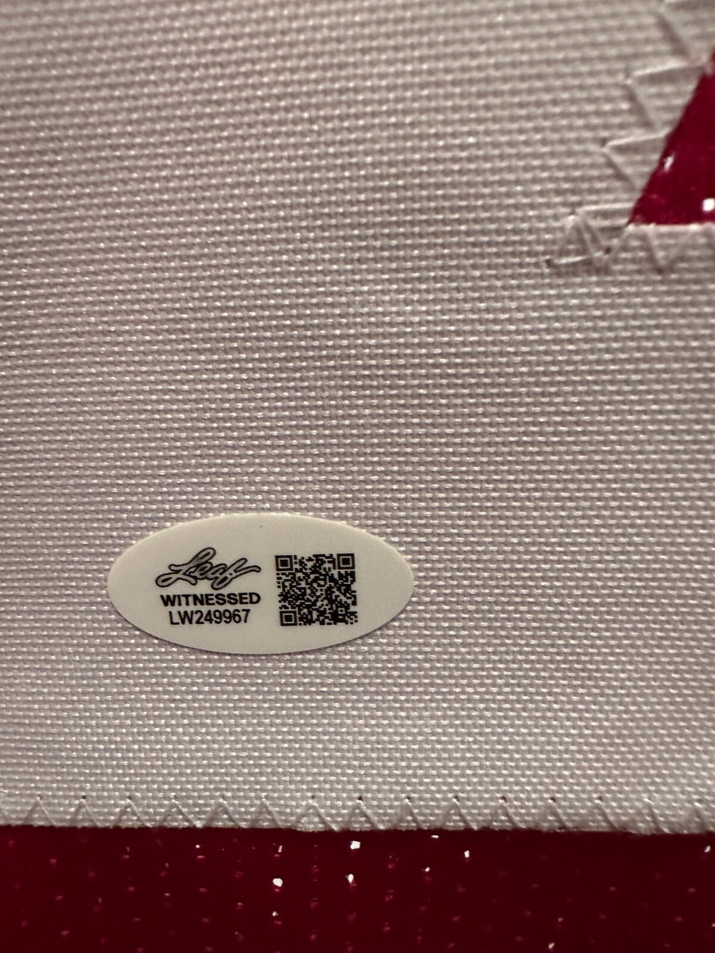Trevon Diggs Signed Alabama Crimson Tide-Style #7 Jersey – Leaf Witnessed