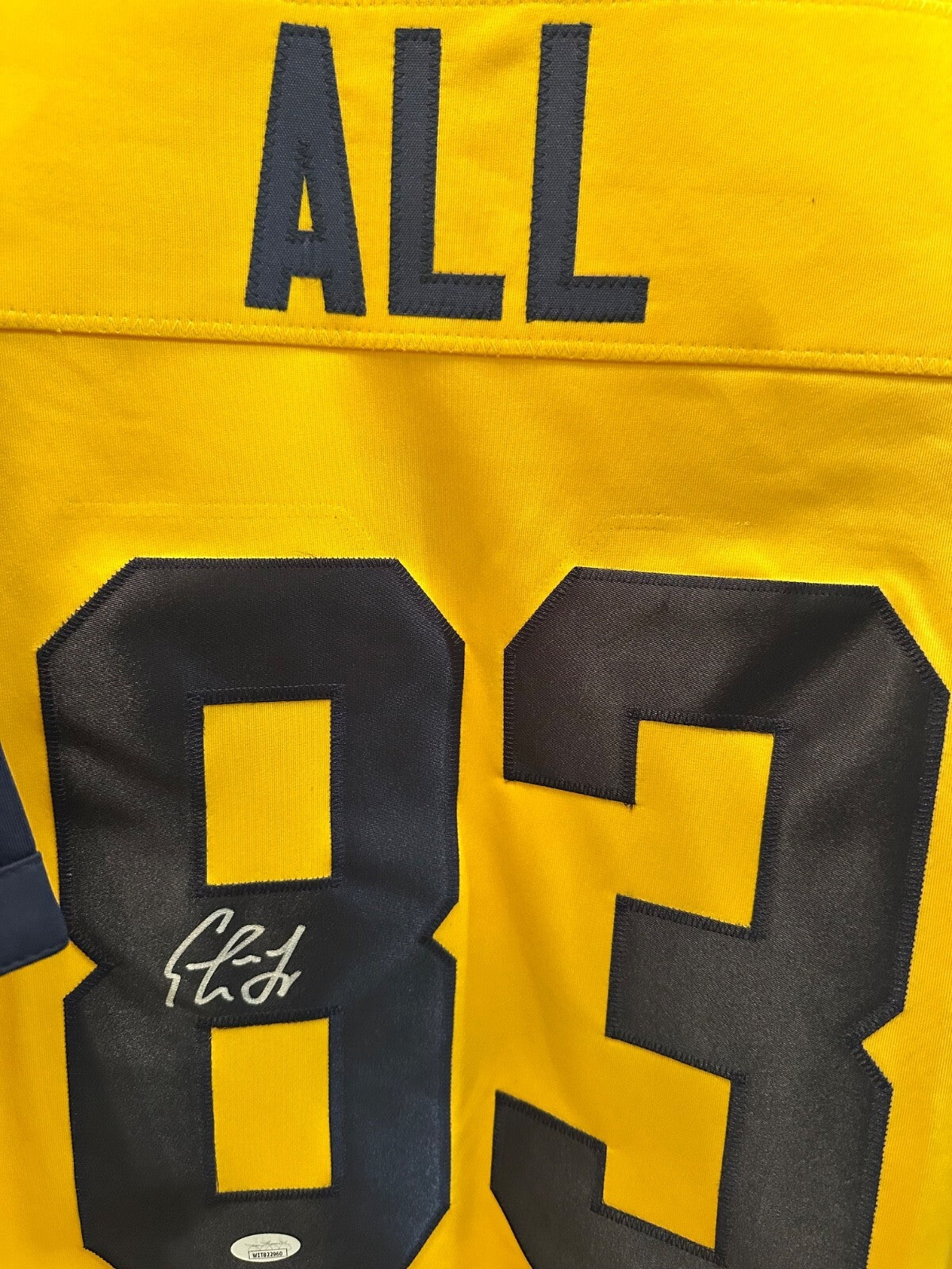 Erick All Autographed Michigan Wolverines Jersey – JSA Witnessed COA