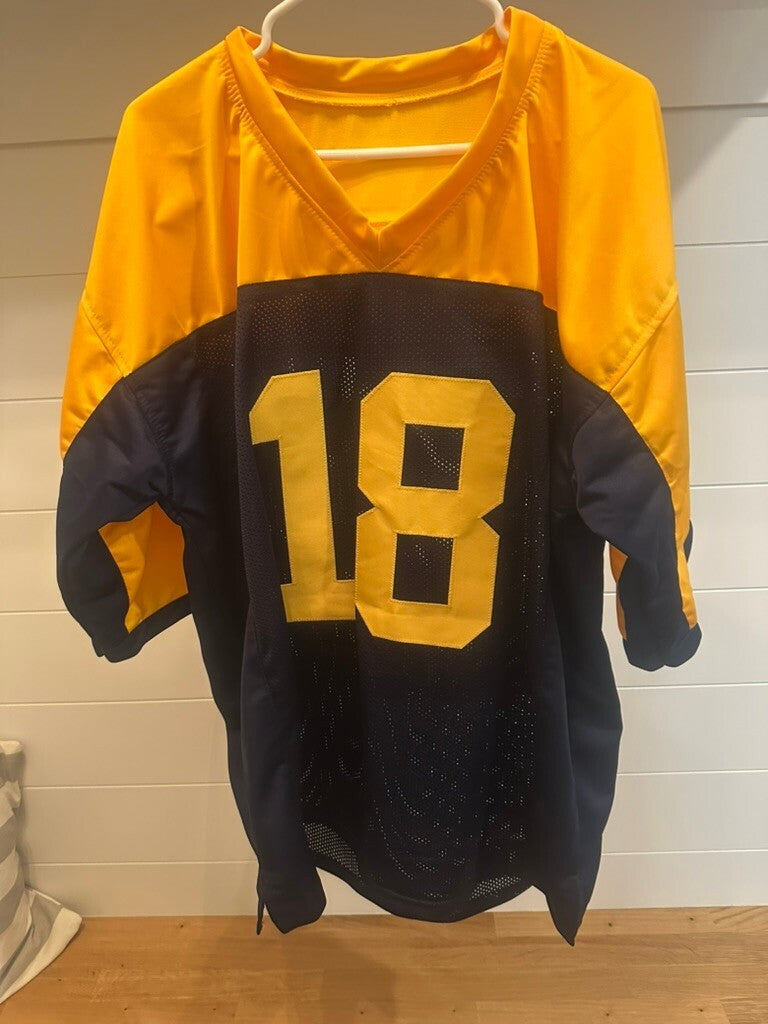 Randall Cobb Signed Packers #18 Jersey JSA