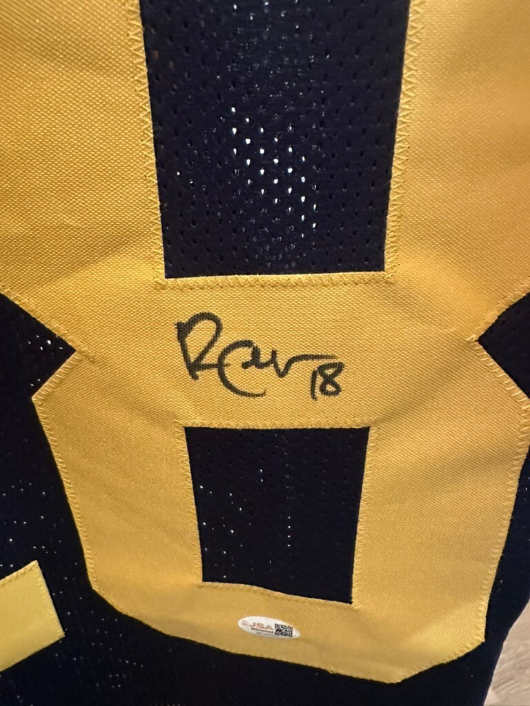 Randall Cobb Signed Packers #18 Jersey JSA