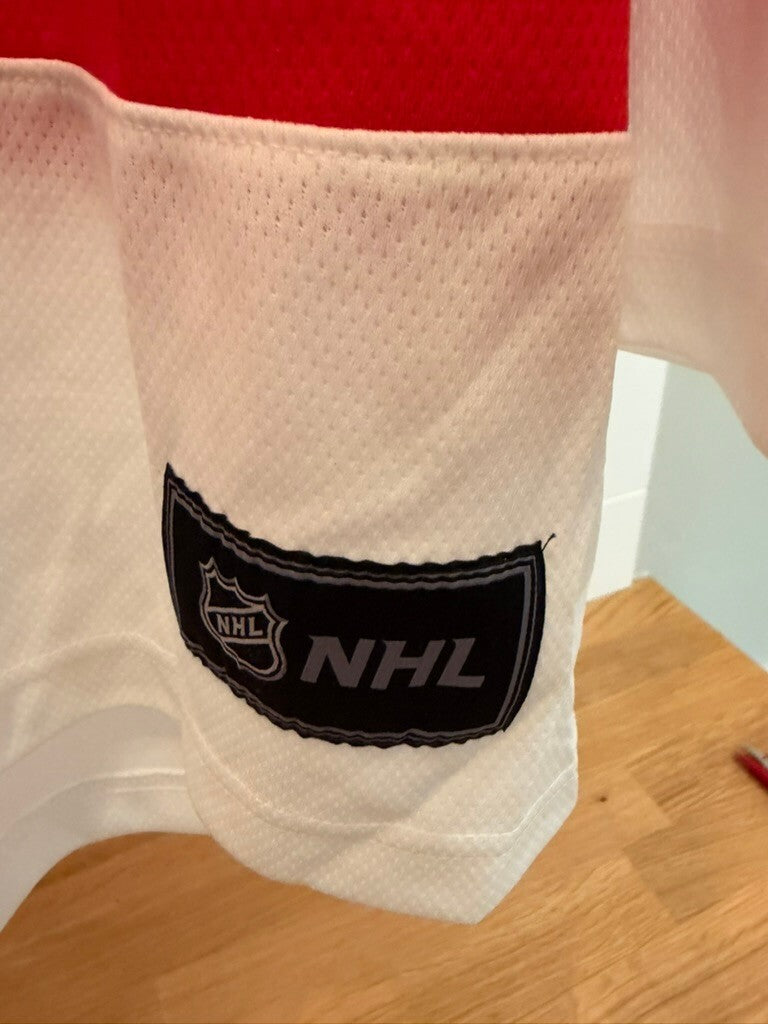 Dylan Larkin Detroit Red Wings #71 NHL Hockey Fan Jersey XL Red White