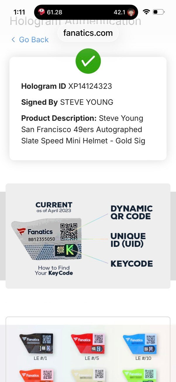 Steve Young Signed 49ers Slate Mini Helmet Fanatics Custom Visor
