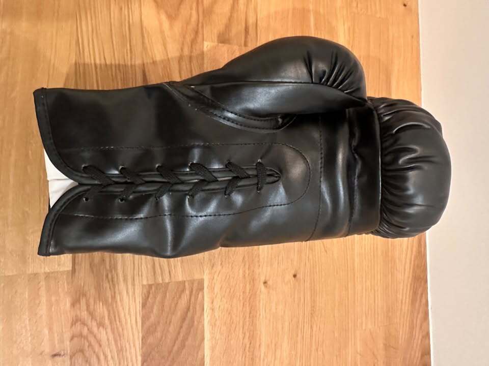Devin Haney Signed Everlast Boxing Glove – Beckett Witnessed