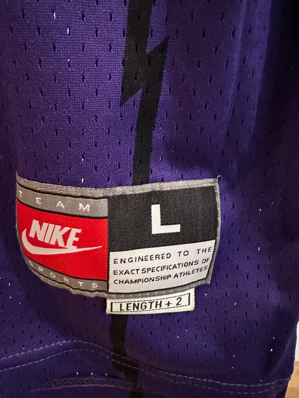 Vintage Vince Carter Raptors Nike Authentic Jersey L +2 NWT